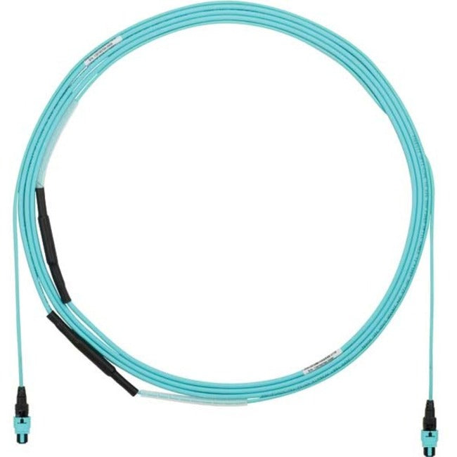 Panduit OM4 12F OFNP PanMPO-F Type B Opt IL Pull Eye FYZTP77Y001F015