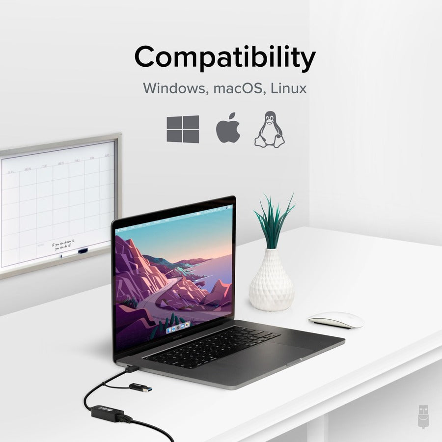 Plugable 2.5G USB C and USB to Ethernet Adapter - 2-in-1 Adapter USBC-E2500