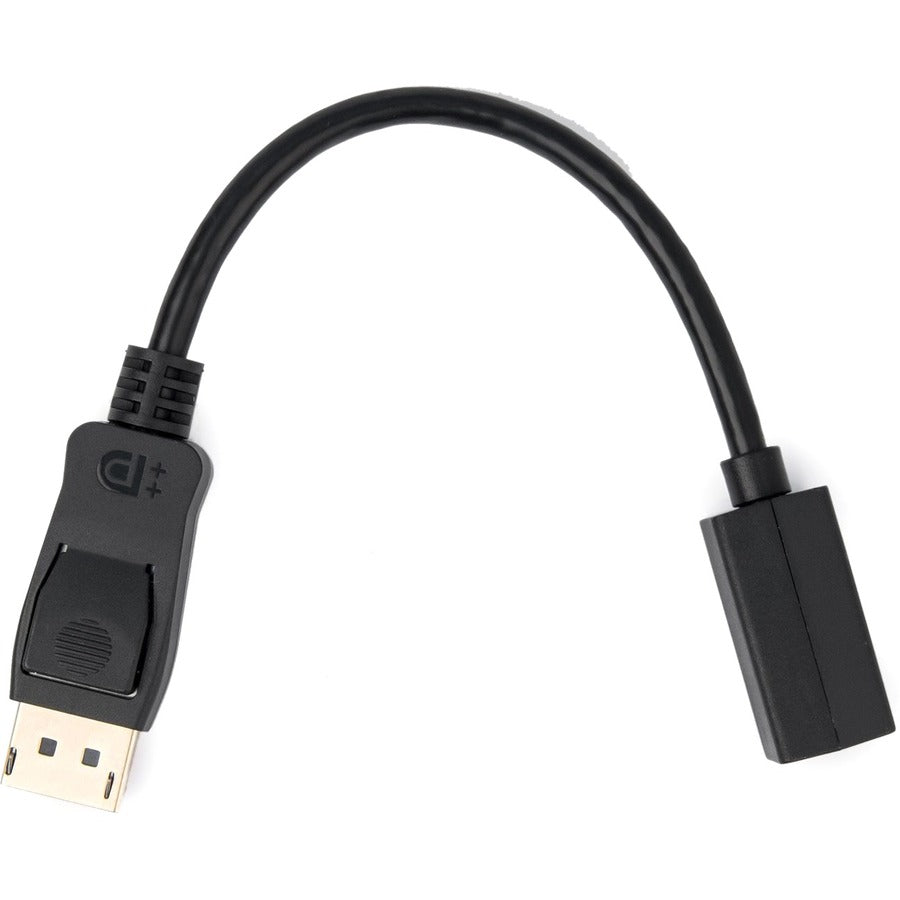 Rocstor Premium DisplayPort to Mini DisplayPort Adapter Y10C270-B1