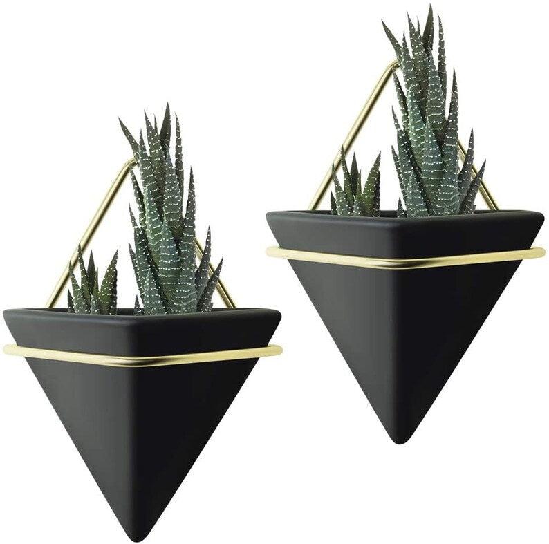 Set Of 2 Indoor Beautiful Wall Planter, Wall Decor, Wall Hanging Planter- Plant Hanger Succulent