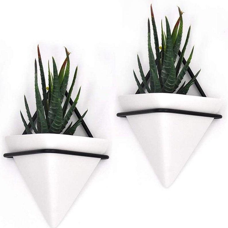 Set Of 2 Indoor Beautiful Wall Planter, Wall Decor, Wall Hanging Planter- Plant Hanger Succulent