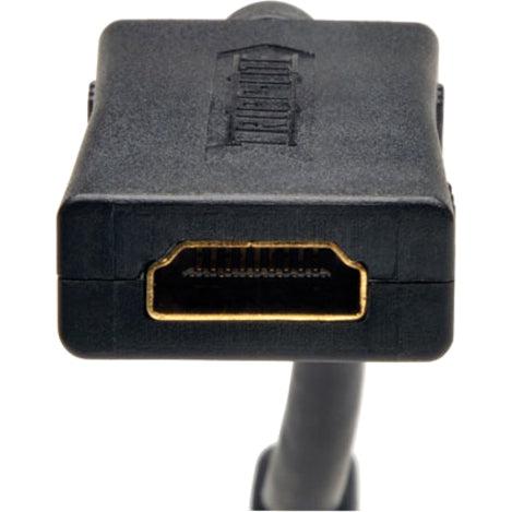 Tripp Lite P166-001-A Hdmi Display-Side Wallplate With Active Signal Booster, White (F/F)