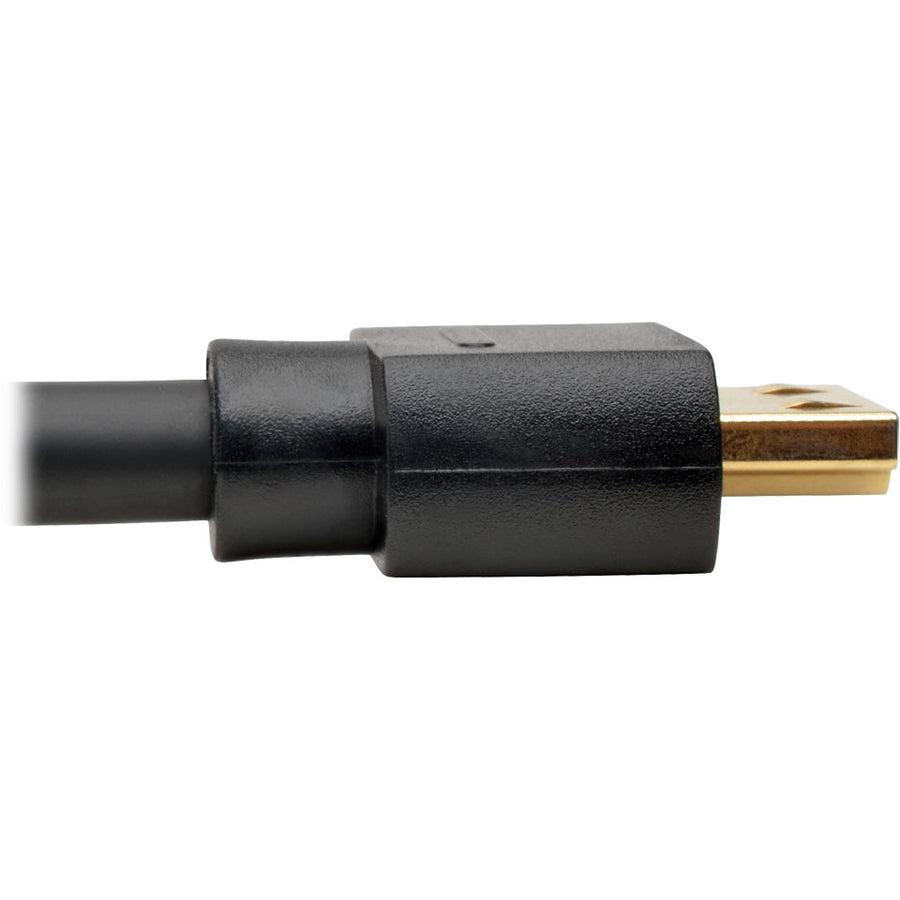 Tripp Lite P582-020-Hd-V2A Displayport 1.2 To Hdmi Active Adapter Cable (M/M), 4K 60 Hz, Gripping Hdmi Plug, Hdcp 2.2, 20 Ft. (6.1 M)