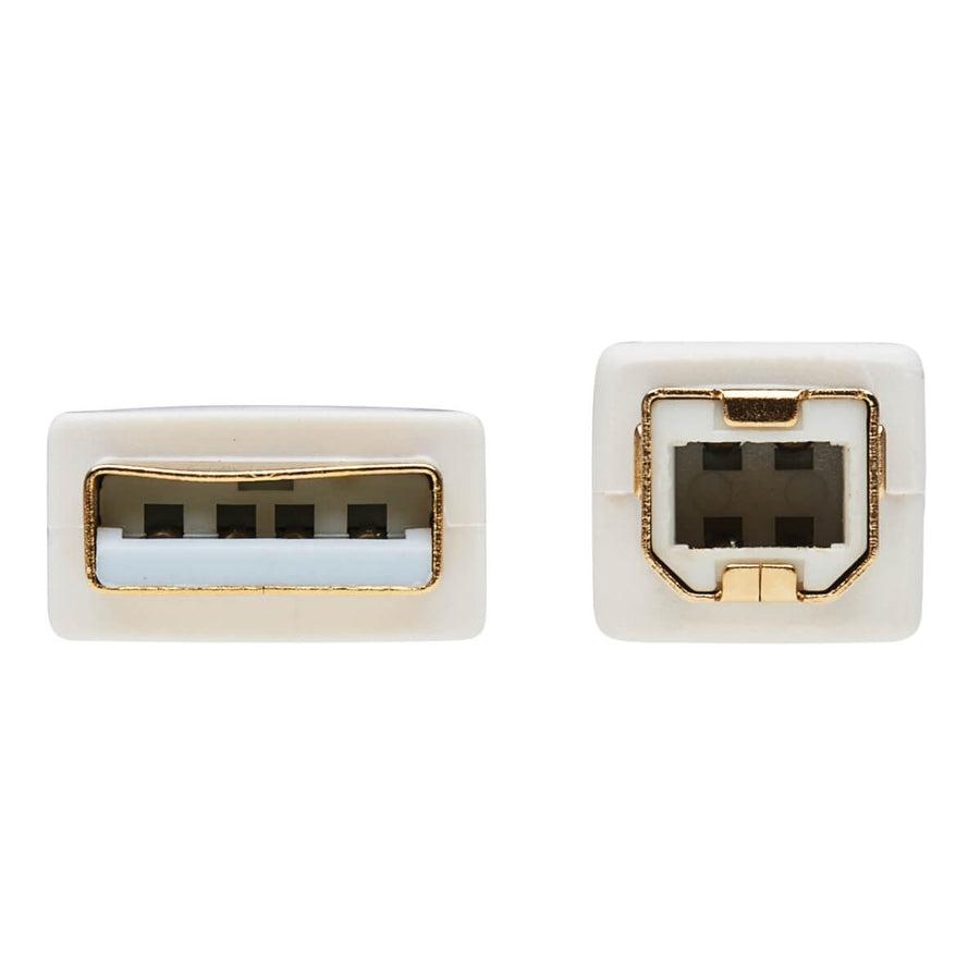 Tripp Lite U022Ab-006-Wh Safe-It Usb-A To Usb-B Antibacterial Cable (M/M), Usb 2.0, White, 6-Ft. (1.83 M)