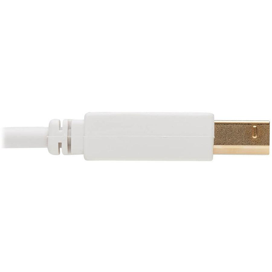 Tripp Lite U022Ab-010-Wh Safe-It Usb-A To Usb-B Antibacterial Cable (M/M), Usb 2.0, White, 10-Ft. (3.05 M)