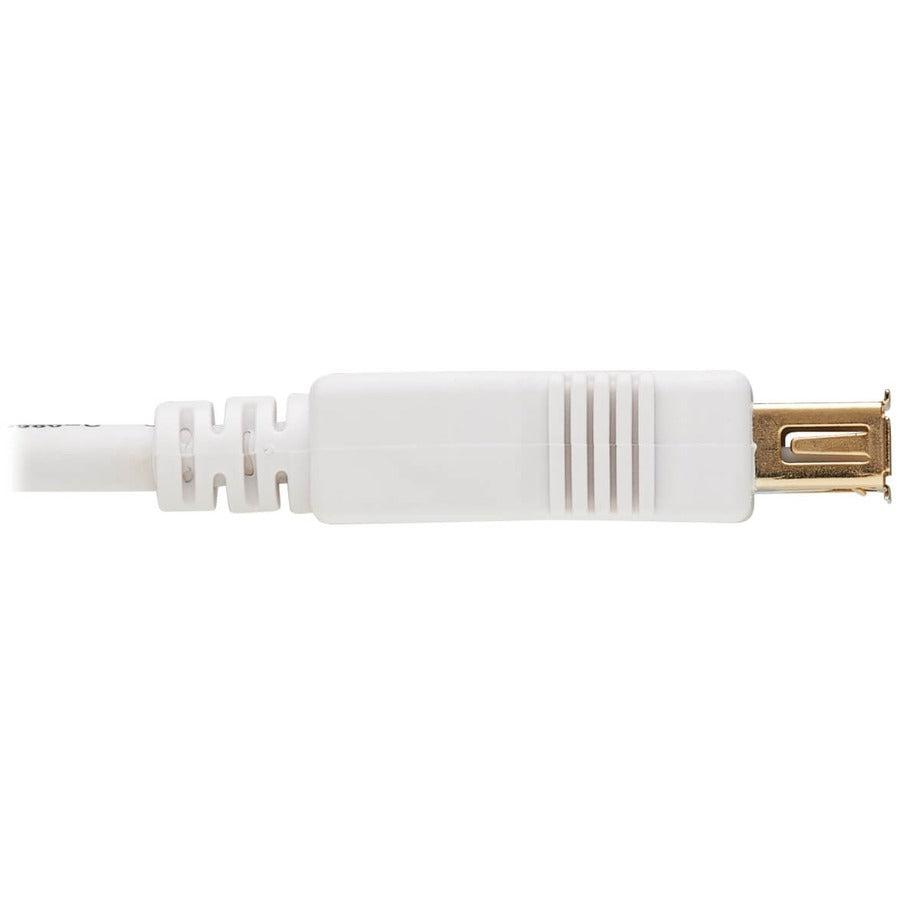 Tripp Lite U024Ab-006-Wh Safe-It Usb-A Antibacterial Extension Cable (M/F), Usb 2.0, White, 6 Ft. (1.83 M)
