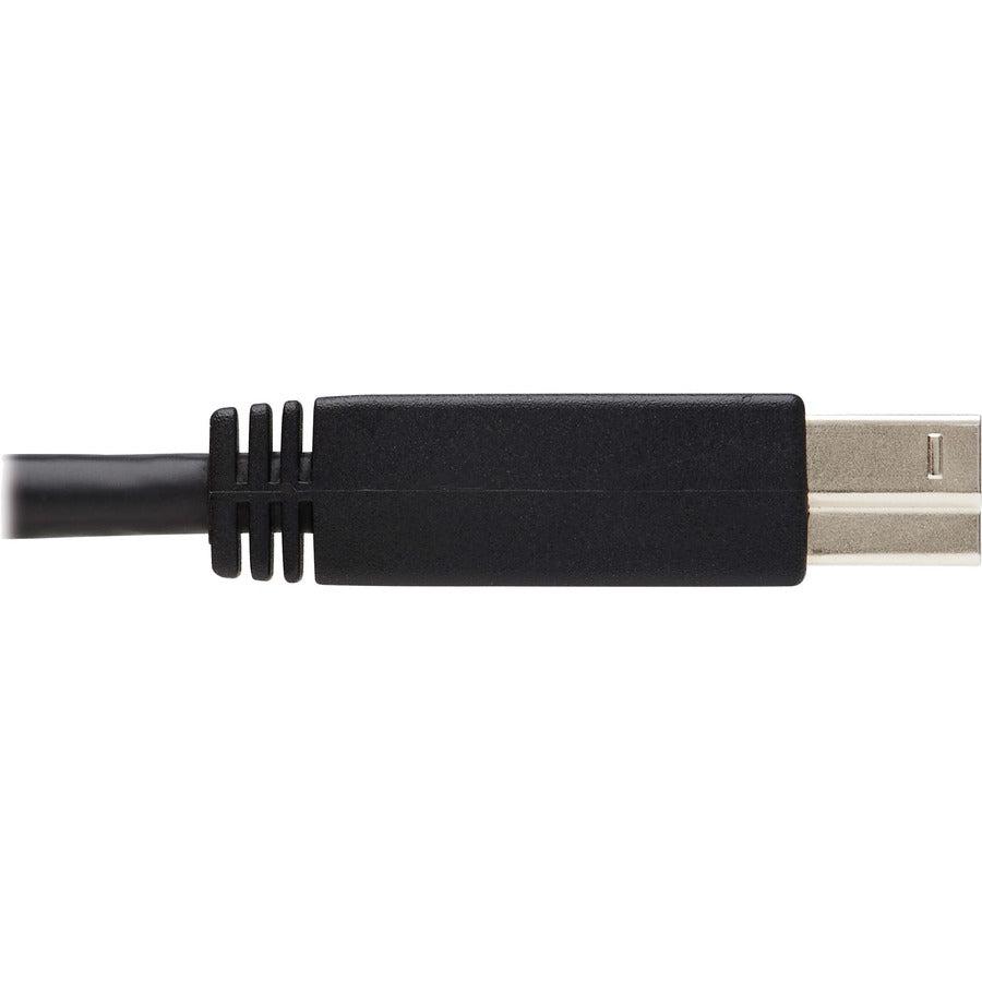 Tripp Lite U328-025-1 Usb Active Repeater Cable - Usb-A To Usb-B (M/M), Usb 3.2 Gen 1, 25 Ft. (7.6 M)