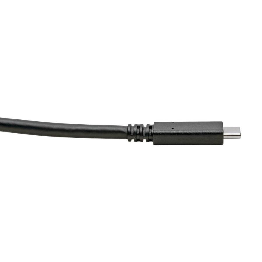 Tripp Lite U420-006 Usb-C Cable (M/M) - Usb 3.1, Gen 1 (5 Gbps), Thunderbolt 3 Compatible, 6 Ft. (1.83 M)