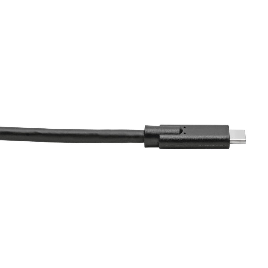 Tripp Lite U420-010 Usb-C Cable (M/M) - Usb 3.1, Gen 1 (5 Gbps), Thunderbolt 3 Compatible, 10 Ft. (3.05 M)