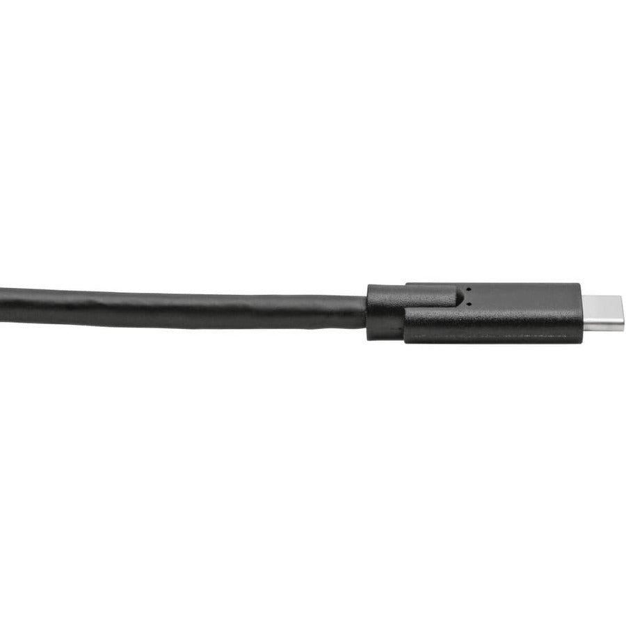 Tripp Lite U420-010 Usb-C Cable (M/M) - Usb 3.1, Gen 1 (5 Gbps), Thunderbolt 3 Compatible, 10 Ft. (3.05 M)