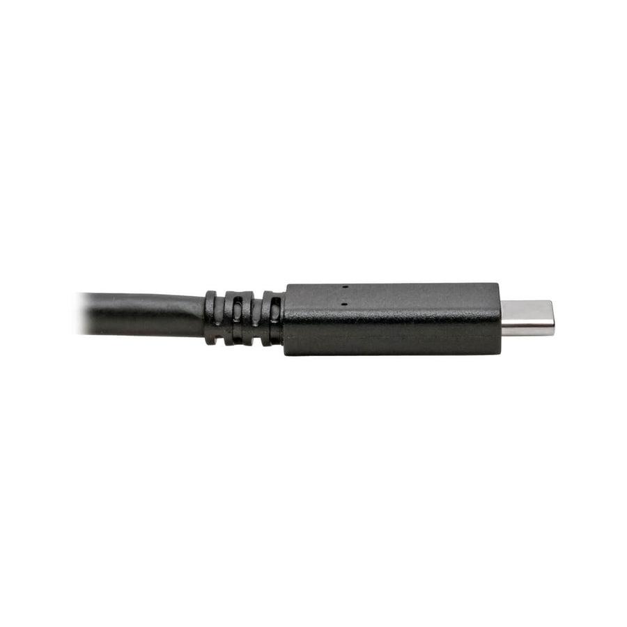 Tripp Lite U420-C06 Usb-C Cable (M/M) - Usb 3.1, Gen 1 (5 Gbps), Usb-If Certified, Thunderbolt 3 Compatible, 6 Ft. (1.83 M)