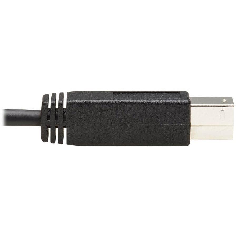 Tripp Lite U422-20N-G2 Usb-C To Usb Type-B Cable (M/M) - Usb 3.1, Gen 2 (10 Gbps), Thunderbolt 3 Compatible, 20-In. (50.8 Cm)